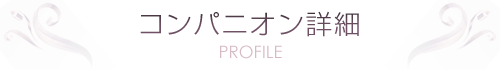 コンパニオン詳細