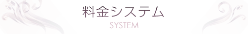 料金システム