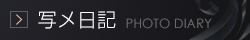 写メ日記